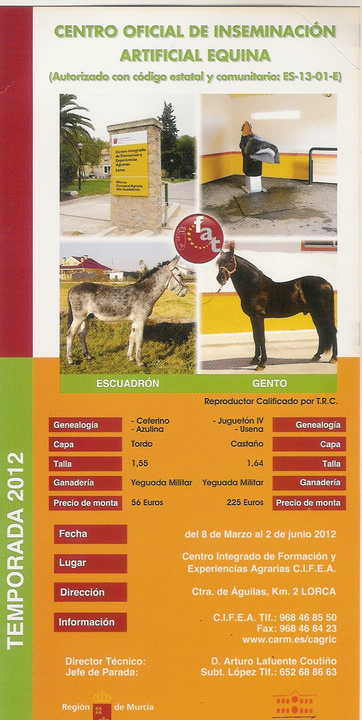 Díptico curso inseminación caballos