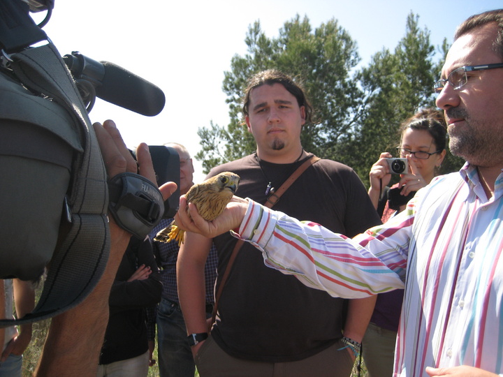 En la imagen, el director general Pablo Fernández sostiene en su mano derecha una de las aves que han sido liberadas esta mañana