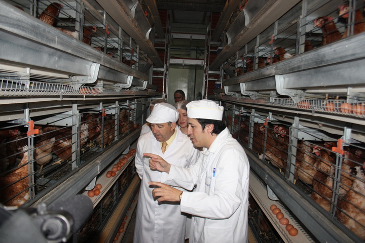 Visita a la empresa avícola 'La Cresta', en Bullas