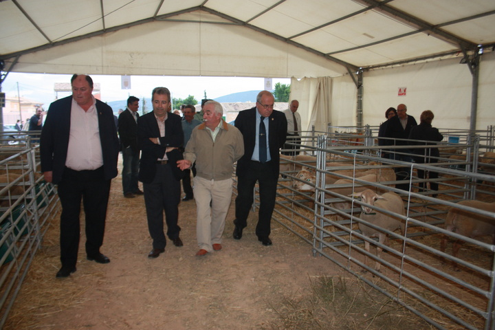 Inauguración del XX Concurso Subasta Raza Ovino Segureña