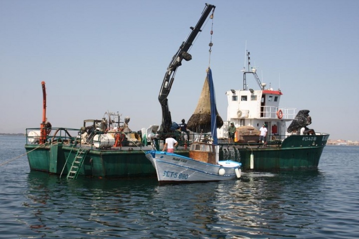 Visita zona de redes del Mar Menor (I)