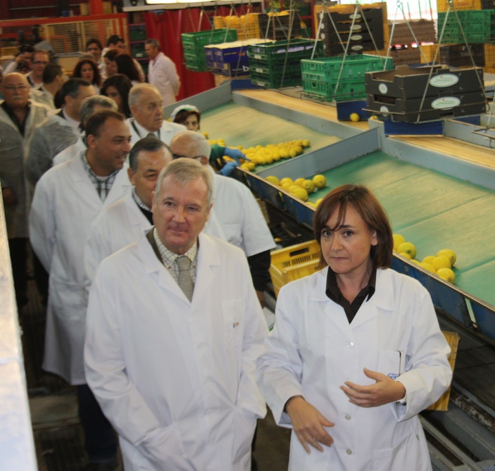 Valcárcel visita la empresa de exportación de frutas y hortalizas del grupo 'Rosegar' en el municipio de Beniel (I)