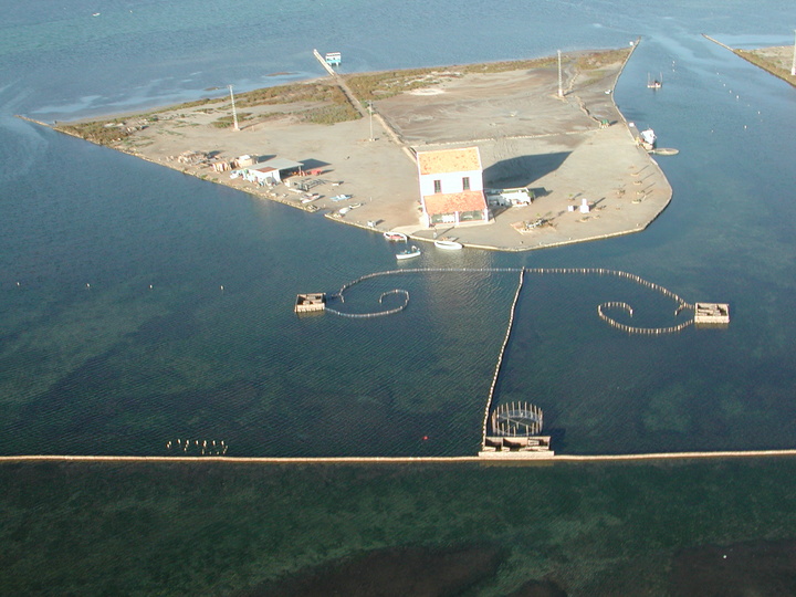 Parque Regional de las Salinas y Arenales de San Pedro del Pinatar