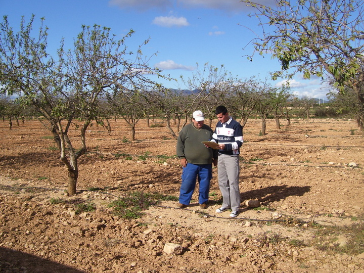 Ayudas para asesoramiento de explotaciones agrarias (1)