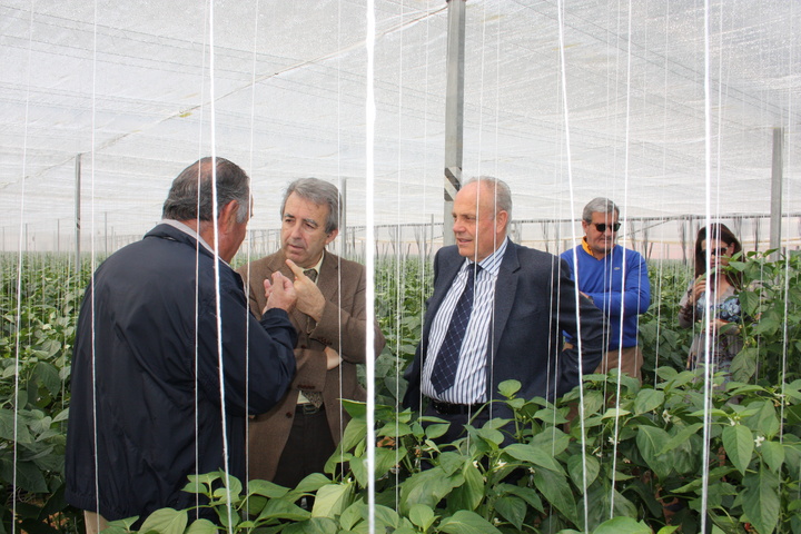 Visita a la empresa hortofrutícola 'Agricultura y Exportación' (I)