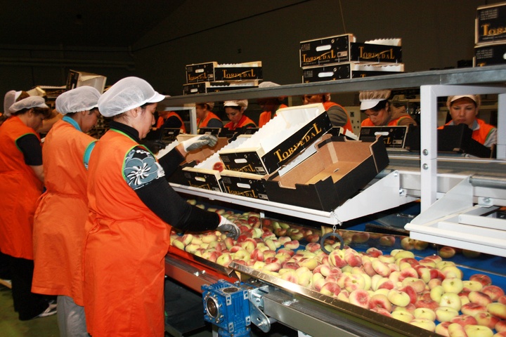 Almacén de producción hortofrutícola