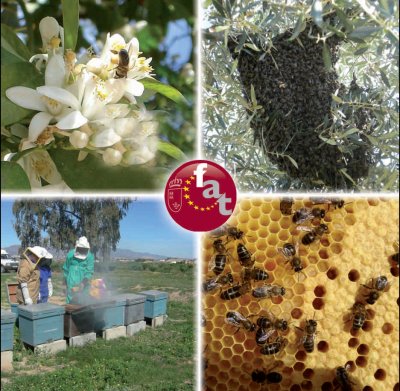 Curso iniciación a la apicultura