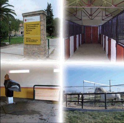 Centro Oficial de Inseminación Artificial Equina.