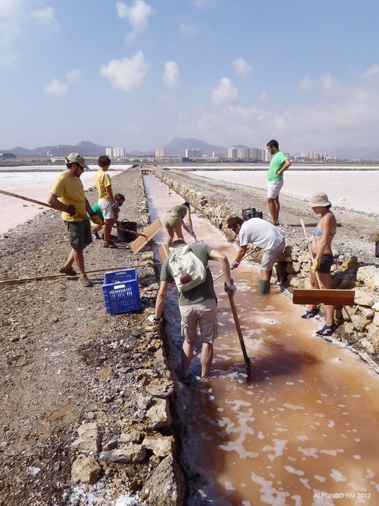 Cosecha simbólica de sal en las Salinas de Marchamalo