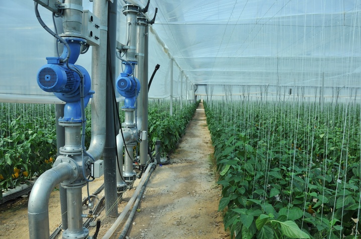 Programa para la incorporación de jóvenes agricultores y modernización de explotaciones