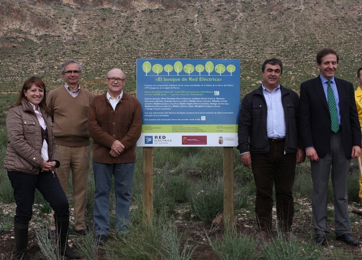 Repoblación ambiental en la Solana de la Sierra del Molino, en Calasparra (2)