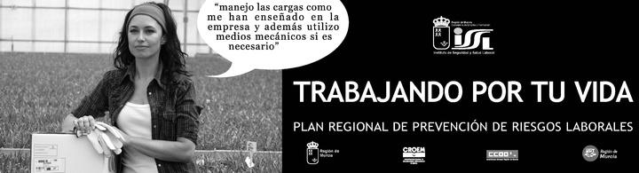 Manejo de cargas