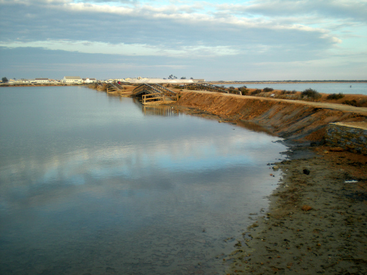 Baños de lodo en el Parque Regional de las Salinas y Arenales de San Pedro del Pinatar