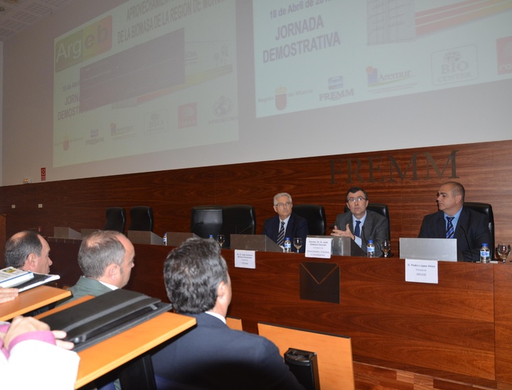 Jornada aprovechamiento energético de la biomasa