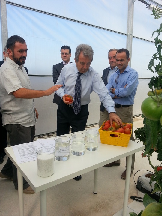 Proyecto IRIS