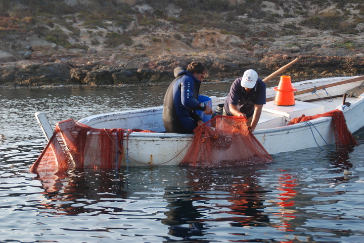 Pesca artesanal en la Reserva Marina de Cabo de Palos-Islas Hormigas