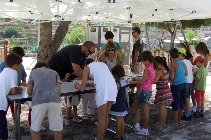 Taller 'Sumérgete en el mundo de los anfibios de Sierra Espuña'