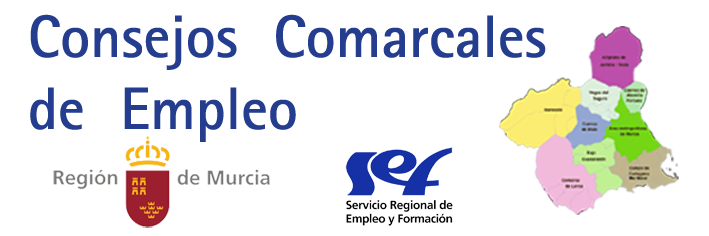 Consejos comarcales de empleo