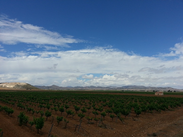 Promoción del turismo rural de la Región