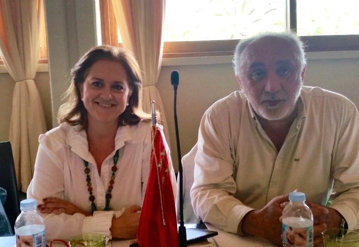 La directora general de Bienes Culturales en la reunión del Consejo de Patrimonio Histórico