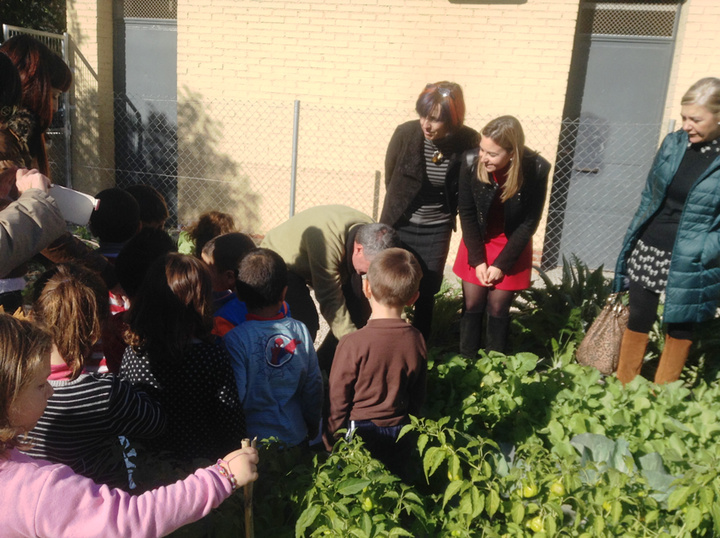 Huerto escolar del Colegio Cervantes