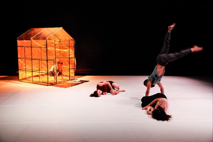 Imagen de la obra 'Qualsevol' de La Coja Dansa