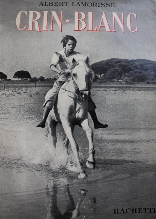 Cartel del filme 'Crin Blanca'