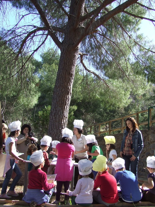 Actividades de fin de semana con motivo del Día Internacional de los Bosques