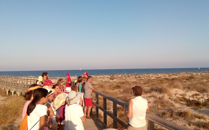Visita guiada a través de las pasarelas que discurren por el Parque