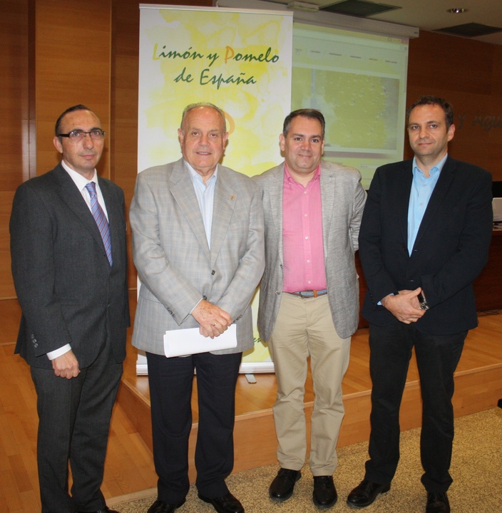 Presentación del blog especializado en el sector nacional del limón y el pomelo