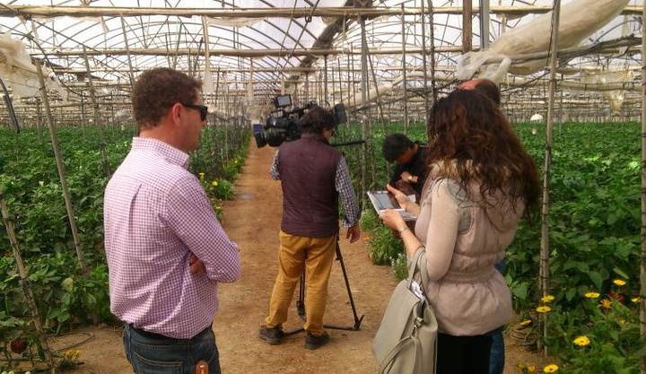 La televisión pública japonesa emitirá un programa sobre el pimiento murciano (1)