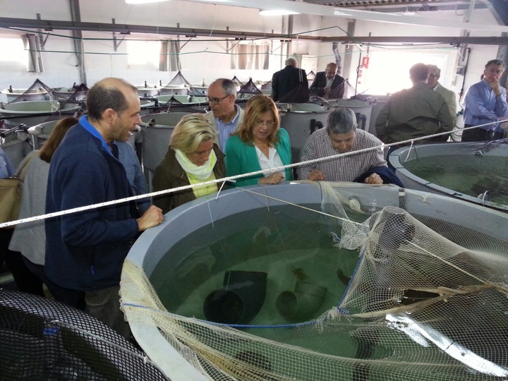 La consejera observando las peceras de cría de pulpo