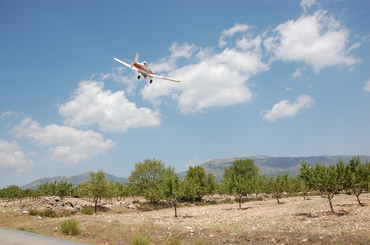 Una avioneta realiza tratamientos aéreos contra la plaga de langosta