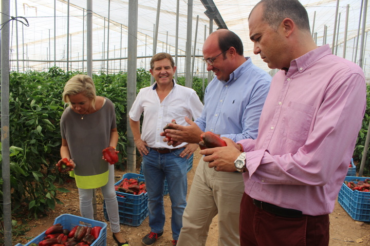 El presidente de la Comunidad visita un invernadero de productos hortícolas en San Javier
