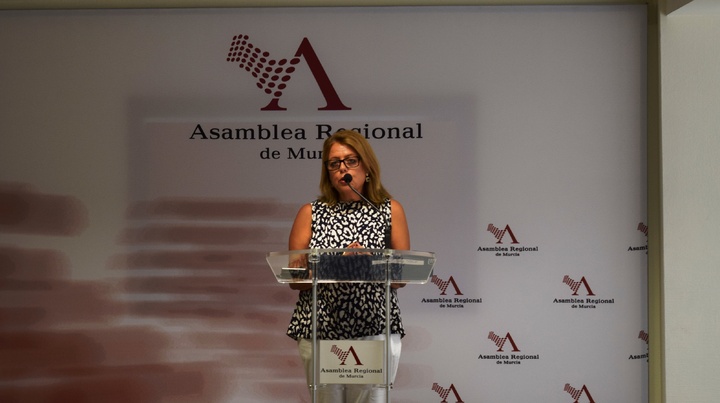 Comparecencia de la consejera de Educación y Universidades en la Asamblea Regional