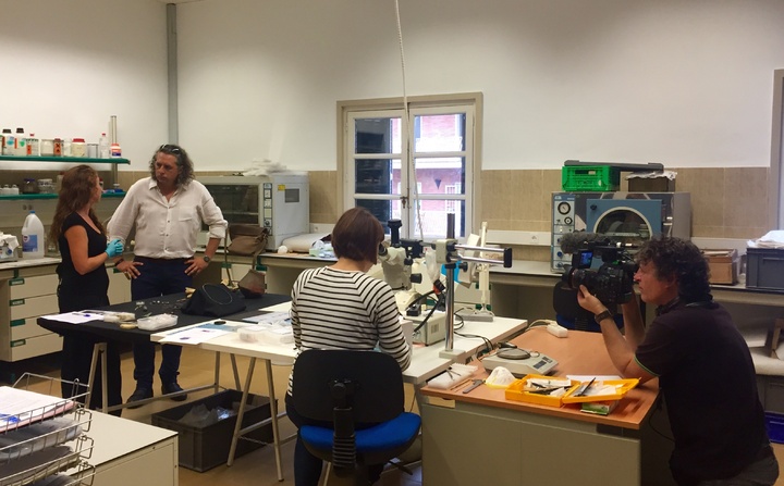 Documental de canal ARTE (1)