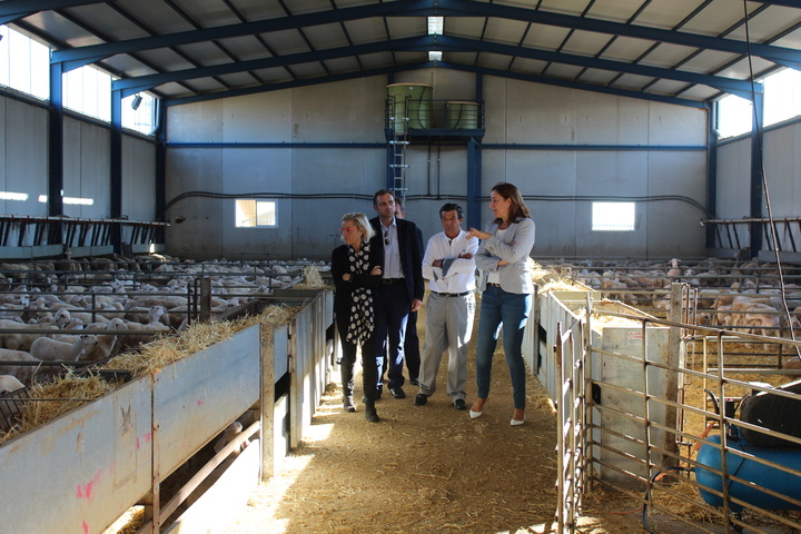 Adela Martínez-Cachá visita una nave de clasificaicón de corderos perteneciente a Cofamur