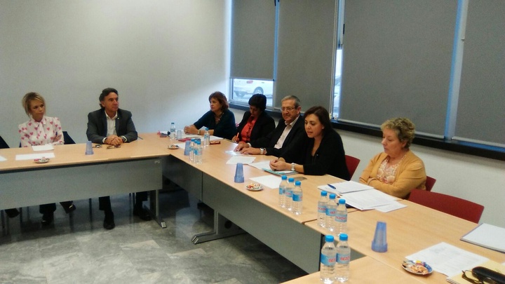 Consejo Asesor de Salud Mental
