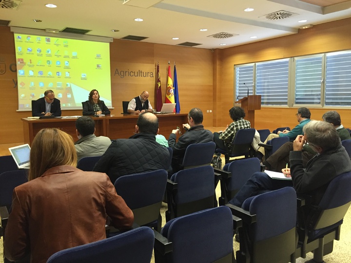 Carmen Teodora Morales preside la Mesa de Sanidad Vegetal