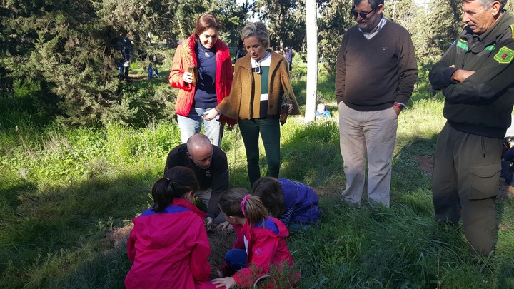 Bosques para la Salud