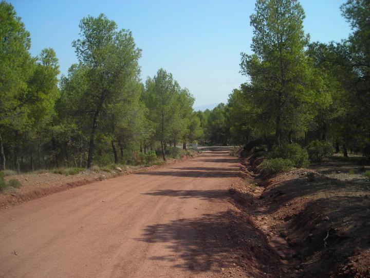 Arreglo de pistas forestales