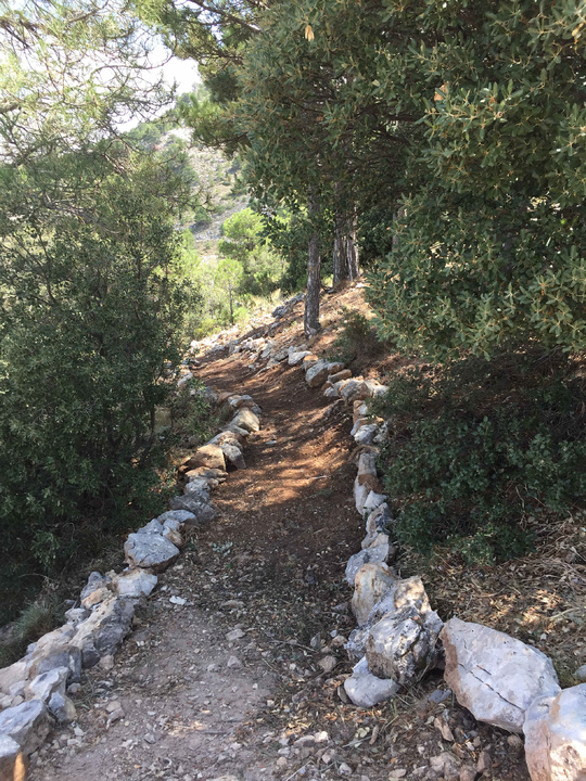 Sendero de alta montaña para acceder al pico más alto de la Región (1)