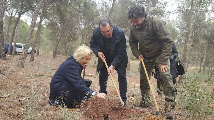 Plantación de árboles en Sierra Espuña por parte de la Agrupación Sardinera de Murcia (2)