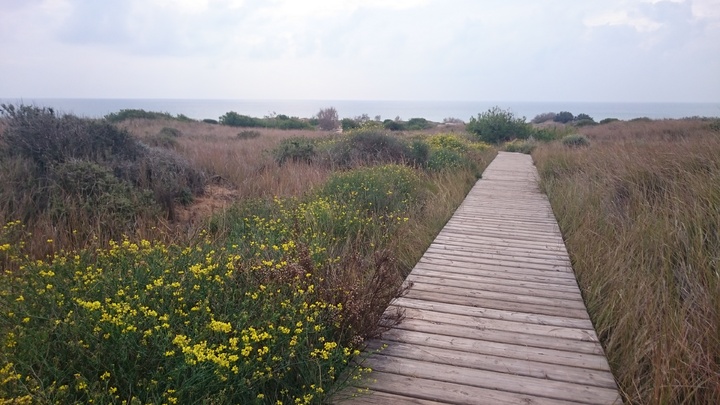 Vista del Parque Regional de Calblanque