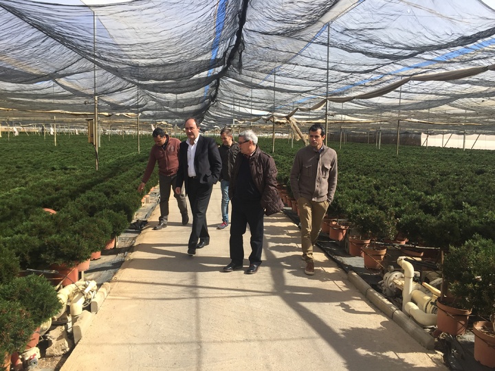 Fulgencio Pérez visita la empresa de plantas ornamentales La Pacheca en San Pedro del Pinatar