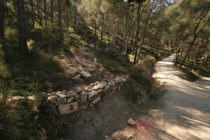 Recuperación ambiental en el sendero Zig Zag