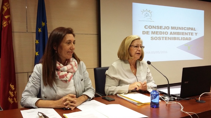 Consejo Municipal de Medio Ambiente y Sostenibilidad de Lorca