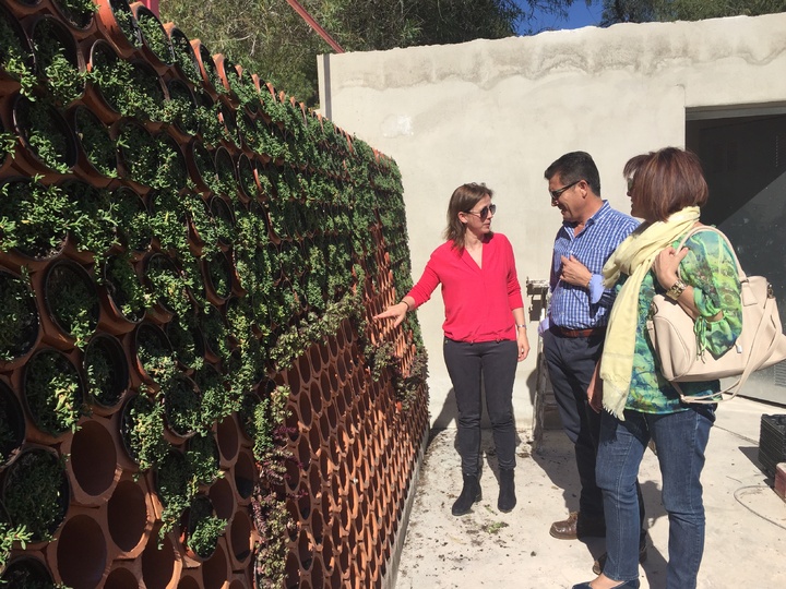 La directora general de Innovación Agroalimentaria, Juana Mulero (izquierda), visitando el curso de jardines verticales
