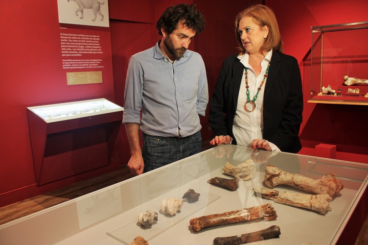 Presentación de la exposición 'Cueva Victoria. Out of África'/2