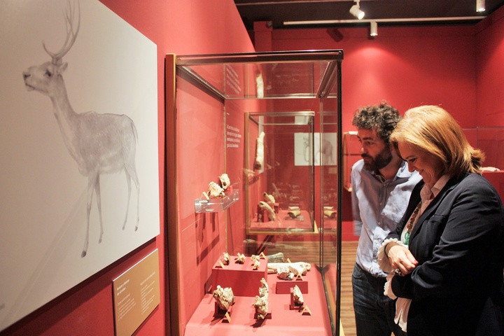 Presentación de la exposición 'Cueva Victoria. Out of África'